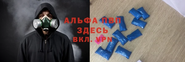 mdpv Богданович