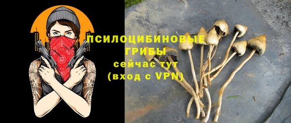 mdpv Богданович