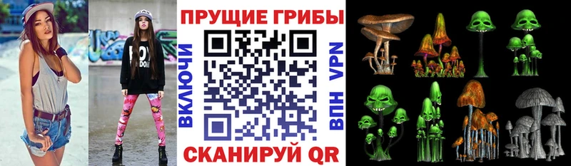 Галлюциногенные грибы мицелий  купить  сайты  Люберцы 